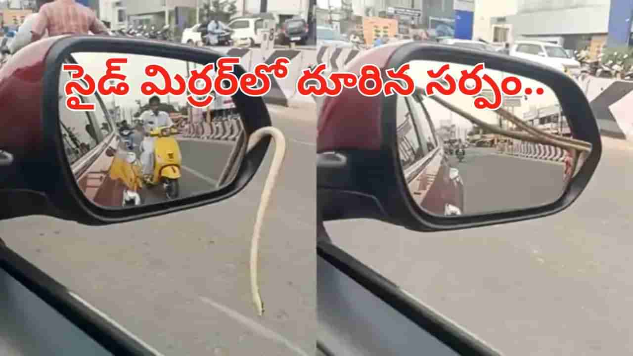 Watch: కారులో వేగంగా వెళ్తున్న డ్రైవర్‌.. సైడ్‌మిర్రర్‌లోంచి సడెన్‌గా ఏదో కదులుతూ
