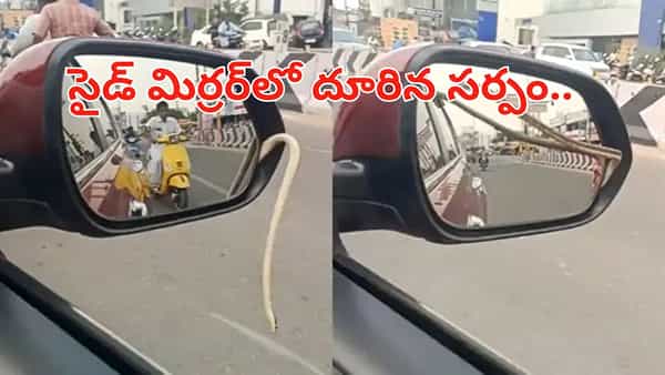 Watch: కారులో వేగంగా వెళ్తున్న డ్రైవర్.. సైడ్మిర్రర్లోంచి సడెన్గా ఏదో కదులుతూ