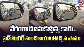 కారు సైడ్ మిర్రర్ నుంచి సైలెంట్‌గా వచ్చిన పాము.. కట్ చేస్తే