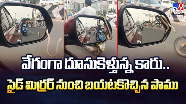 వేగంగా దూసుకెళ్తున్న కారు.. సైడ్ మిర్రర్ నుంచి సైలెంట్గా వచ్చిన పాము.. కట్ చేస్తే వేగంగా దూసుకెళ్తున్న కారు.. సైడ్ మిర్రర్ నుంచి సైలెంట్గా వచ్చిన పాము.. కట్ చేస్తే
