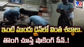 Safety Pin: పిన్నీసు ధర రూ. 69 వేలు ??