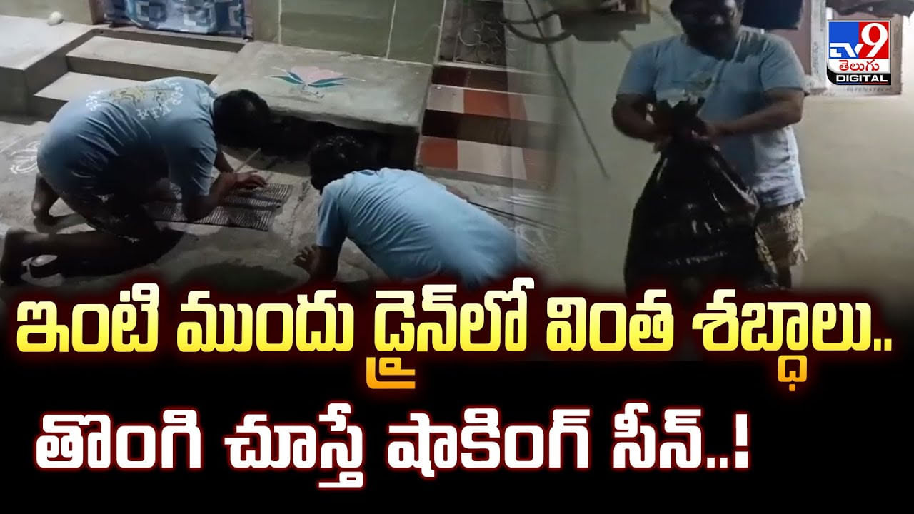 ఇంటి ముందు డ్రైన్లో వింత శబ్ధాలు.. తొంగి చూస్తే షాకింగ్ సీన్ ఇంటి ముందు డ్రైన్లో వింత శబ్ధాలు.. తొంగి చూస్తే షాకింగ్ సీన్