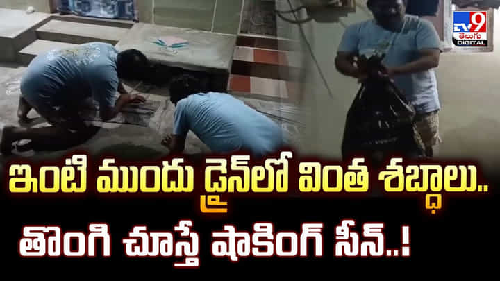 ఇంటి ముందు డ్రైన్లో వింత శబ్ధాలు.. తొంగి చూస్తే షాకింగ్ సీన్ ఇంటి ముందు డ్రైన్లో వింత శబ్ధాలు.. తొంగి చూస్తే షాకింగ్ సీన్