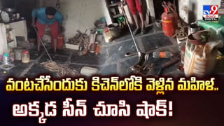 నదిలో శివలింగం, నంది దర్శనం.. శివయ్యే వచ్చాడంటూ