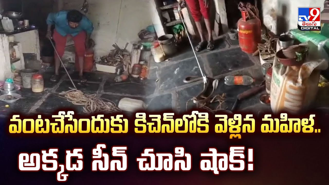 వంటచేసేందుకు కిచెన్‌లోకి వెళ్లిన మహిళ.. అక్కడ సీన్‌ చూసి షాక్