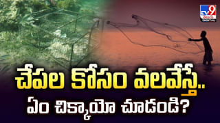 వేలానికి బంగారు టాయిలెట్.. ధర ఎంతో తెలుసా