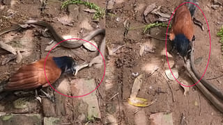 అమరావతిలో పురుడుపోసుకున్న ఆర్థిక నగరి.. ఉద్యోగ, ఉపాధి లక్ష్యంగా ‘రాజధాని’!