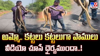 సార్‌ టాలెంట్‌ మామూలుగా లేదు.. స్మగ్లింగ్ లో సరికొత్తగా ట్రై చూసారుగా