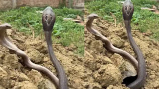 Crime News: ఓటేసేందుకు పోలింగ్ కేంద్రానికి వెళ్లిన భార్యభర్తలు.. ఇంటికొచ్చి చూడగా..