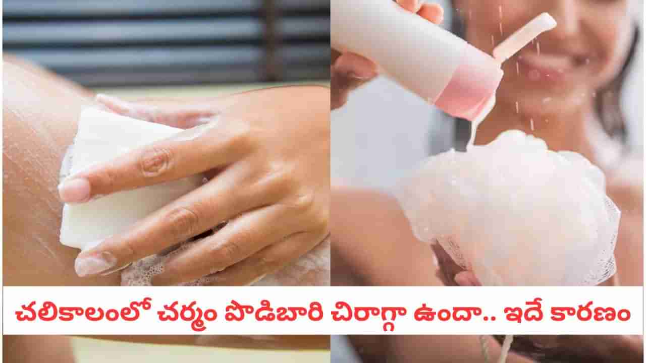 Soap vs Bodywash: సబ్బు Vs. బాడీ వాష్ చలికాలంలో మీ చర్మానికి ఏది మంచిది