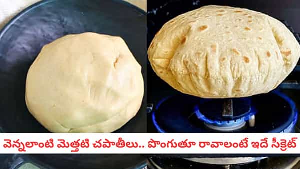 Chapati Hacks: పూరీలా పొంగే చపాతీలు కావాలా? పిండి కలిపేటప్పుడు ఈ ఒక్క టెక్నిక్ ఫాలో అవ్వండి..