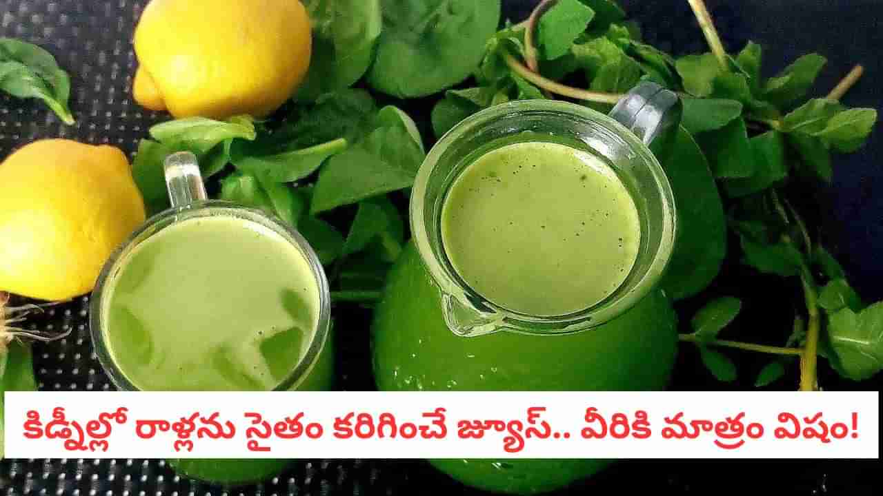 Winter Health: శీతాకాలపు బూస్టర్.. ప్రతిరోజూ ఈ గ్రీన్ జ్యూస్ తాగండి, రిజల్ట్ అద్భుతం!