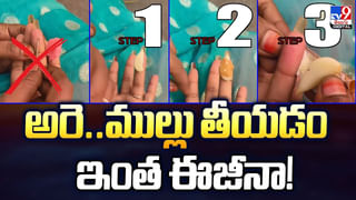 ఆ ఆలుగడ్డ ధర కేజీ రూ. లక్ష.. ఎక్కడో తెలుసా ??