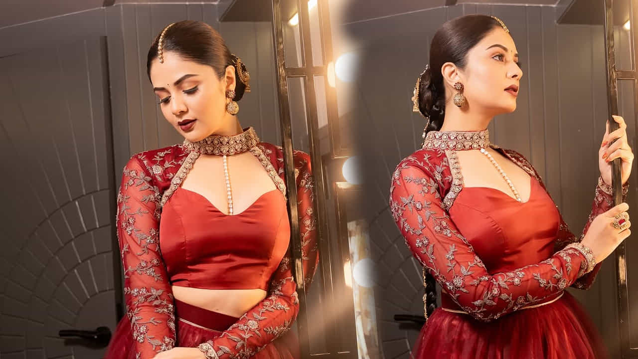 తర్వాత  తెలుగు  బిగ్ బాస్‌కు వెళ్లి తన ఆటతీరు, మాట తీరుతో అందరి మనసు గెలుచుకుంది. అంతే కాకుండా రన్నర్‌గా కూడా నిలిచిన విషయం తెలిసిందే. ముఖ్యంగా ఈ బ్యూటికి బిగ్ బాస్ కు వెళ్లి వచ్చిన తర్వాత పాపులారిటీ విపరీతంగా పెరిగింది.