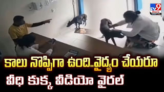 బహుబలి అరటి హస్తం..ఏకంగా 80 పండ్లు.. సెల్ఫీ దిగిన కొనుగోలుదారులు