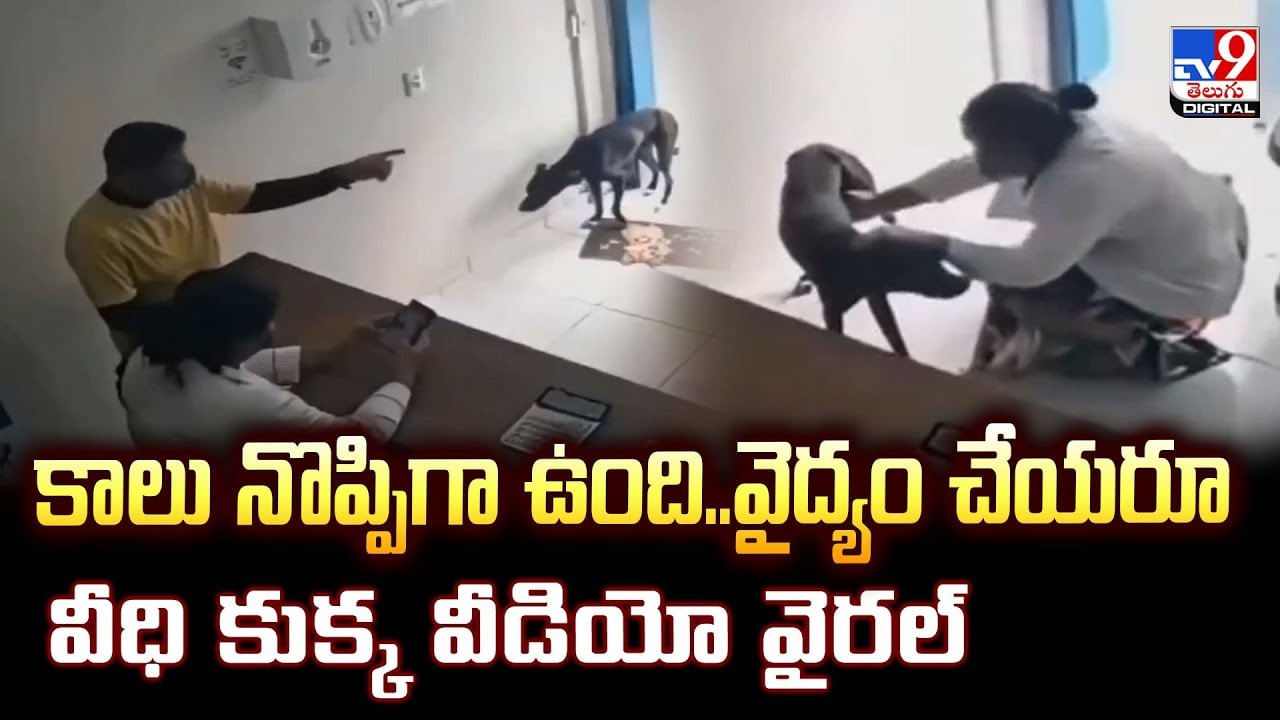 కాలు నొప్పిగా ఉంది.. వైద్యం చేయమని అడిగిన వీధి కుక్క.. వీడియో వైరల్‌