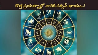 వాస్తు ప్రకారం.. ఈ వస్తువులు ఇంట్లో ఉంటే.. మీ ఇంట్లో డబ్బే డబ్బు..