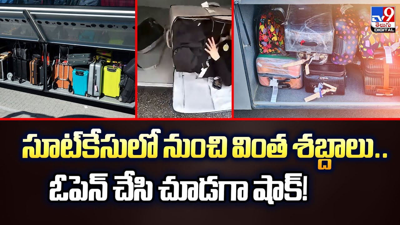 సూట్కేసులో నుంచి వింత శబ్దాలు.. ఓపెన్ చేసి చూడగా షాక్ సూట్కేసులో నుంచి వింత శబ్దాలు.. ఓపెన్ చేసి చూడగా షాక్