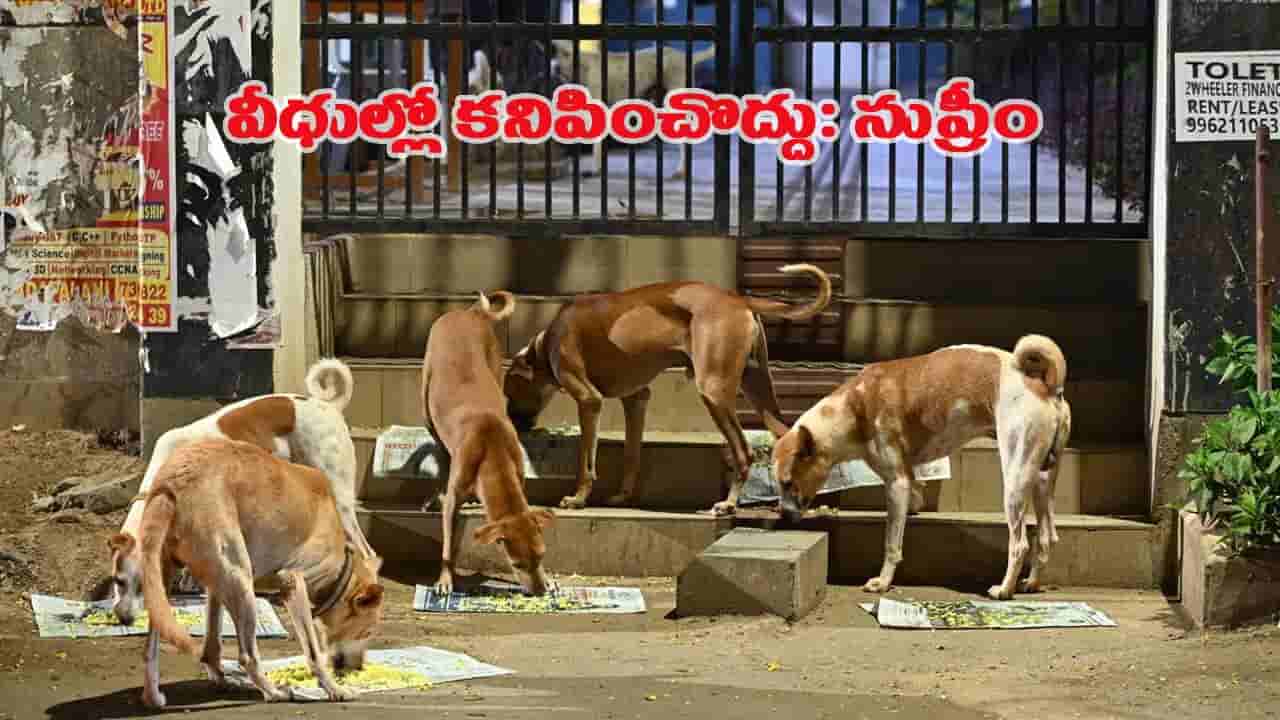 వీధికుక్కలు పబ్లిక్ ప్లేసుల్లో కనిపించొద్దు.. సుప్రీంకోర్టు కీలక ఆదేశాలు జారీ..!