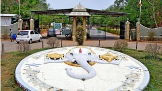 Andhra News: తిరుపతి “జూ” కు వాలాబీ దూరం.. మృతి చెందిన అరుదైన జంతువు