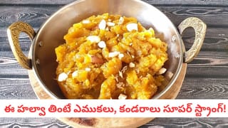 Winter Soups: ఇమ్యూనిటీ తగ్గిందా? ఈ సూప్ తాగితే చాలు.. కొవ్వు కరిగి, జీర్ణక్రియ స్పీడ్ అవుతుంది!