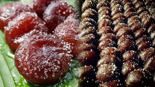 Andhra Pradesh: రంగులు కాదు.. బురద.. ఒంటినిండా పూసుకునే ఈ పండగ ఎక్కడో తెలుసా..?