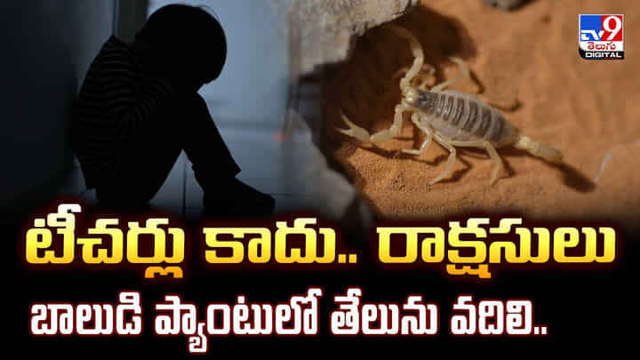 టీచర్లు కాదు.. రాక్షసులు.. బాలుడి ప్యాంటులో తేలును వదిలి .. టీచర్లు కాదు.. రాక్షసులు.. బాలుడి ప్యాంటులో తేలును వదిలి ..