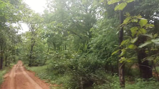 అయ్యో అయాన్.. చిన్నారిని అంగన్వాడీకి పంపిస్తే నిర్లక్ష్యంతో చంపేశారు..