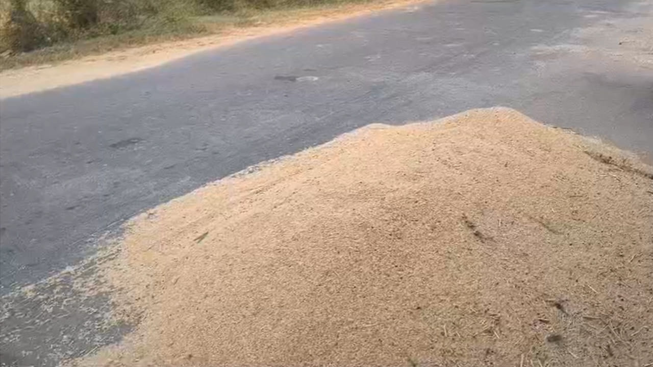 Telangana: రోడ్డుపై ఆరబోసిన వరి కుప్పలు.. ఇంతలో అటుగా వచ్చిన ఓ బైక్.. ఆ తర్వాత సీన్ ఇది