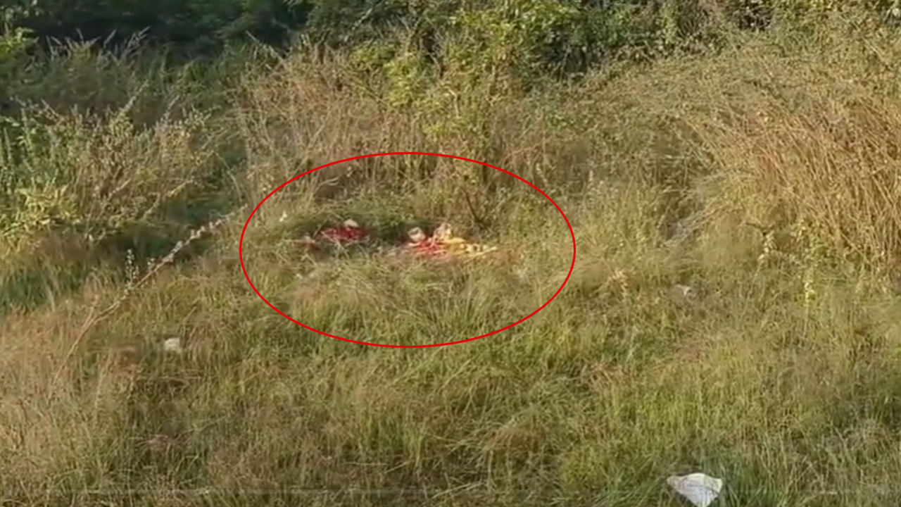 Telangana: రోడ్డు పక్కన ఏవో వింత ఆకారాలు.. ఫోన్ కెమెరాతో కాస్త జూమ్ చేసి చూడగా