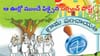 Telangana: కలిసొచ్చిన రిజర్వేషన్లకు నడిచొచ్చిన పదవులు.. ఆ ఊర్లో ముందే ఫిక్సైన సర్పంచ్ పోస్ట్!