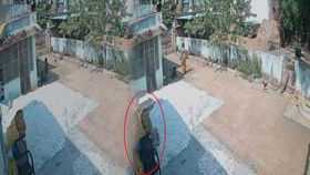 పొలంలో పత్తిని తెంపి ఇంటికి తెచ్చాడు.. ఆపై ఎండలో ఆరబెట్టగా