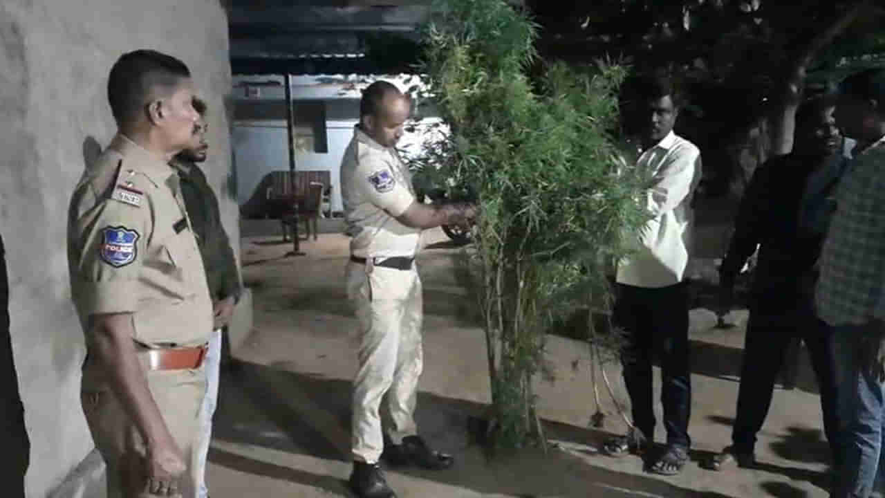 Telangana: అంత రేటు పెట్టి కొనలేక.. అలాగని అలవాటు మానలేక.. సందునే సెటప్