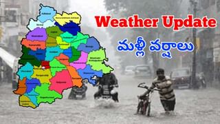 Telangana: ఈ చీమలతో బతకడం నా వల్ల కాదు!.. కన్నీళ్లు పెట్టిస్తున్న వివాహిత సూసైడ్‌ నోట్