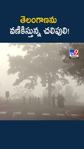 తెలంగాణను వణికిస్తున్న చలిపులి..! మరో రెండు మూడు రోజులు..