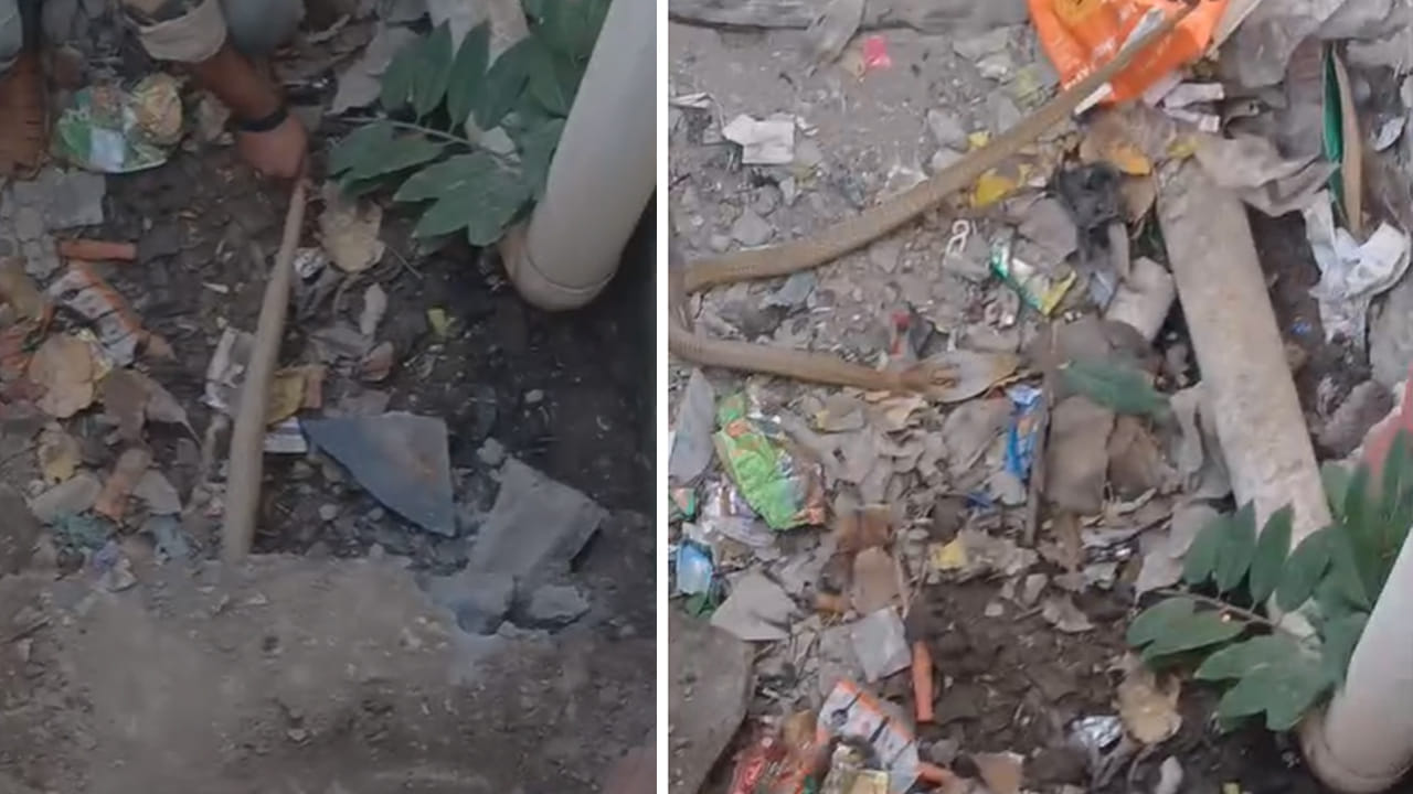 Kurnool: స్కూల్లోని వాటర్ పైప్ నుంచి పెద్ద పెద్దగా శబ్దాలు.. ఏంటా అని మొబైల్ లైట్ ఆన్ చేయగా Kurnool: స్కూల్లోని వాటర్ పైప్ నుంచి పెద్ద పెద్దగా శబ్దాలు.. ఏంటా అని మొబైల్ లైట్ ఆన్ చేయగా