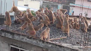 Telangana: ఆ ఘటన తర్వాత నుంచే ఆమెకు చీమలంటే భయం ఏర్పడింది.. పోలీసులు చెప్పిన కీలక విషయాలు