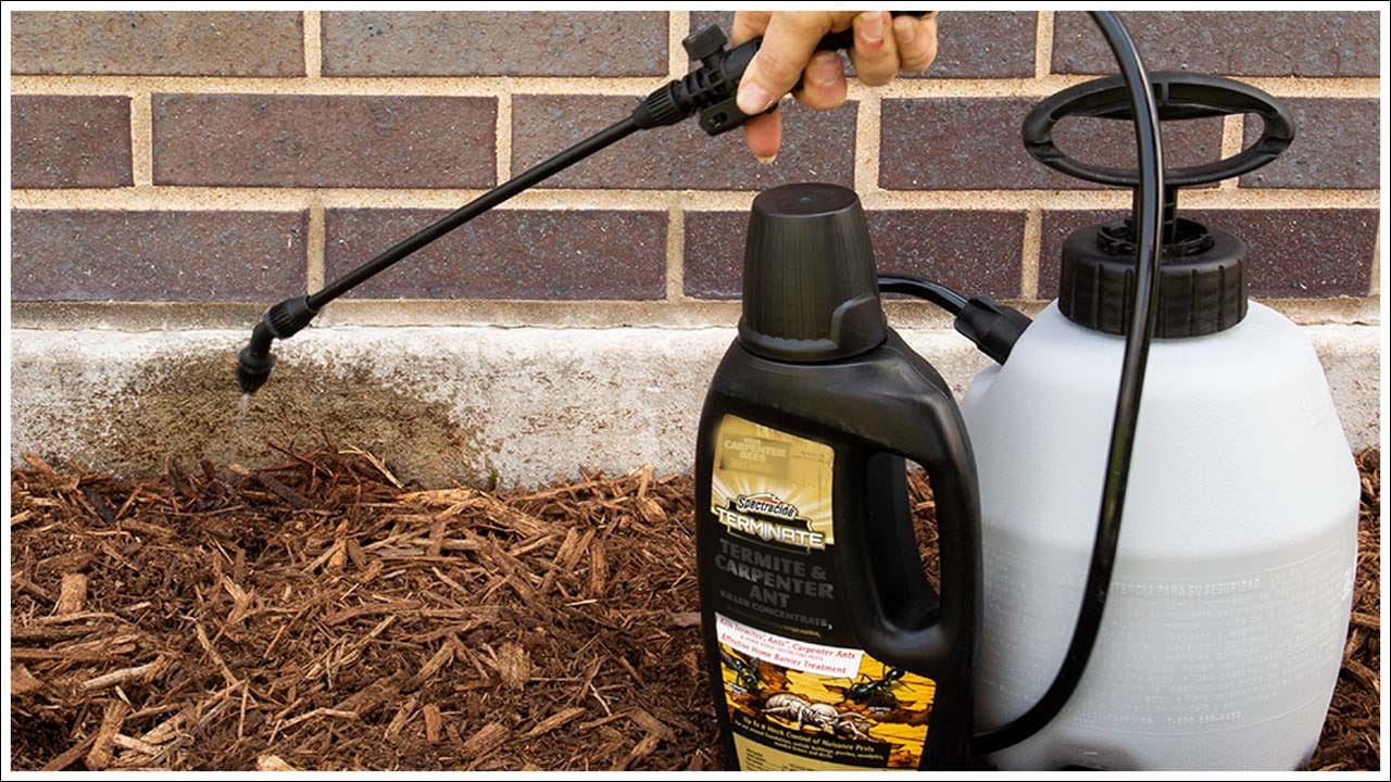 ముందుగా ఇది చేయండి: మీ ఫర్నిచర్ లేదా నోట్బుక్లలో చెదపురుగులు అధికంగా ఉంటే, ముందుగా వాటి నుండి తేమను తొలగించాలి. దీని కోసం వాటిని సూర్యకాంతి ముందు ఉంచడం ఉత్తమ ఎంపిక. ఇలా చేస్తే ఎండకు అవి తొలగిపోతాయి. చెక్క వస్తువులను కనీసం రెండు రోజులు ప్రకాశవంతమైన సూర్యకాంతిలో ఉంచండి. మీరు ప్రతి రెండు నెలలకు ఒకసారి ఇలా చేయవచ్చు. ఇది చెదపురుగుల ఇబ్బందులు తొలగించుకోవచ్చు.