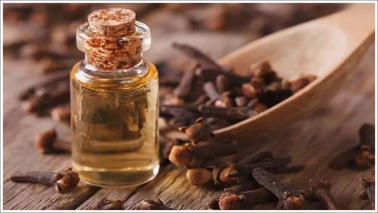 ఈ నూనెలు కూడా ఉపయోగం: చెదపురుగులను తొలగించడంలో వేప నూనె, లవంగ నూనె చాలా ప్రభావవంతమైనవిగా భావిస్తారు. దీని కోసం రెండు నూనెలను సమాన పరిమాణంలో కలిపి చెదపురుగులు ఉండే వస్తువులపై పూయండి. వేప ఒక సహజ పురుగుమందు. అయితే లవంగానికి బలమైన వాసన ఉంటుంది. యాంటీ బాక్టీరియల్ లక్షణాలు కూడా ఉంటాయి.