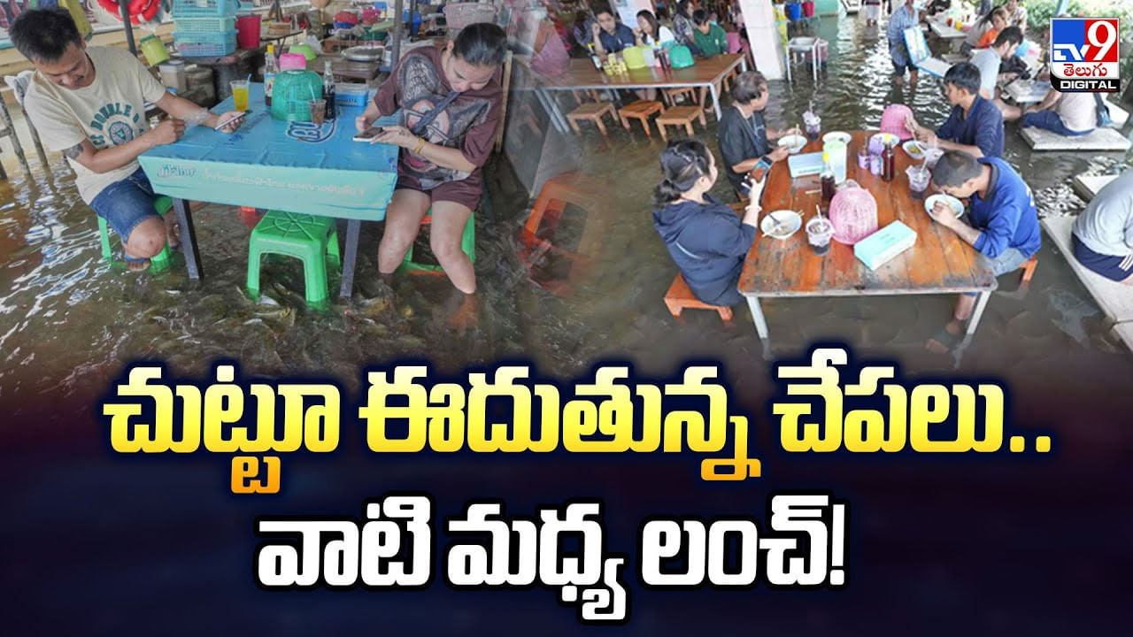 చుట్టూ ఈదుతున్న చేపలు.. వాటి మధ్య లంచ్ చుట్టూ ఈదుతున్న చేపలు.. వాటి మధ్య లంచ్