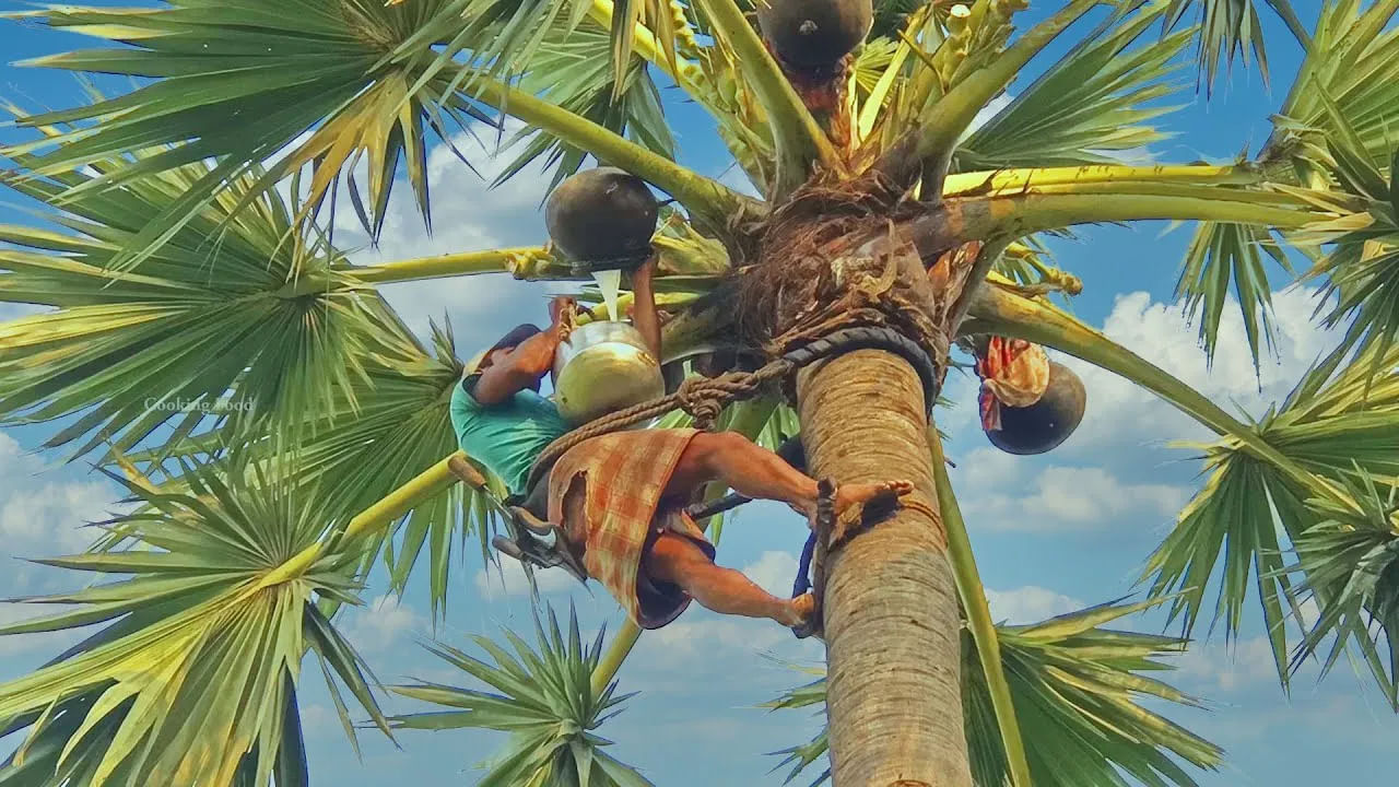 ఆల్ఫ్రాజోలం అనేది అలవాటుగా మారే (హ్యాబిట్ ఫార్మింగ్) డ్రగ్. దీనిని క్రమం తప్పకుండా తీసుకుంటే, అది లేనిదే బ్రతకలేరు అనే స్థితికి వస్తారు. ఒకవేళ ఆపడానికి ప్రయత్నిస్తే, సీజర్స్, హ్యాండ్ షేక్స్ వంటి తీవ్రమైన ఉపసంహరణ లక్షణాలను ఎదుర్కొంటారు. ఈ తీవ్రత కారణంగా ఆల్ఫ్రాజోలం నార్కోటిక్ డ్రగ్స్ అండ్ సబ్‌స్టెన్సెస్ (NDPS) చట్టం పరిధిలోకి వస్తుంది.