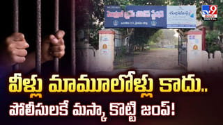 నల్లమలలో జంగిల్‌ సఫారీ.. ఎదురుగా పెద్దపులి.. కట్ చేస్తే