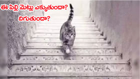 మీరు ఆశావాదో.. నిరాశావాదో చిటికెలో చెప్పే ఫొటో ఇది..