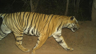 Andhra: అనుమానాస్పదంగా కనిపించిన బీటెక్ స్టూడెంట్.. ఆపి అతడి బ్యాగ్ చెక్ చేయగా