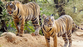 Telangana: ప్రభుత్వ పాఠశాల విద్యార్ధులకు సూపర్ గుడ్‌న్యూస్.. ఇది కదా కావాల్సింది