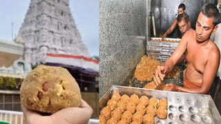 Tirumala Laddu Case: టీటీడీ ఉద్యోగుల్లో భయం భయం.. కల్తీ నెయ్యి కేసులో నెక్స్ట్ అరెస్టయ్యేది ఎవరు..?
