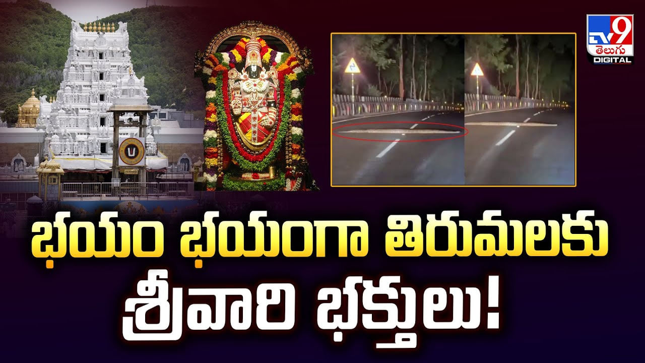 భయం భయంగా తిరుమలకు శ్రీవారి భక్తులు