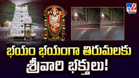 భయం భయంగా తిరుమలకు శ్రీవారి భక్తులు