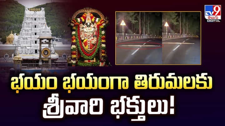 భయం భయంగా తిరుమలకు శ్రీవారి భక్తులు భయం భయంగా తిరుమలకు శ్రీవారి భక్తులు