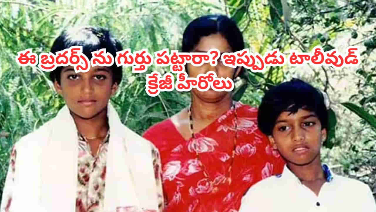 Tollywood: స్టార్ డైరెక్టర్ వారసులు.. ఇప్పుడు టాలీవుడ్ క్రేజీ హీరోలు.. ఈ బ్రదర్స్ ఎవరో గుర్తు పట్టారా?